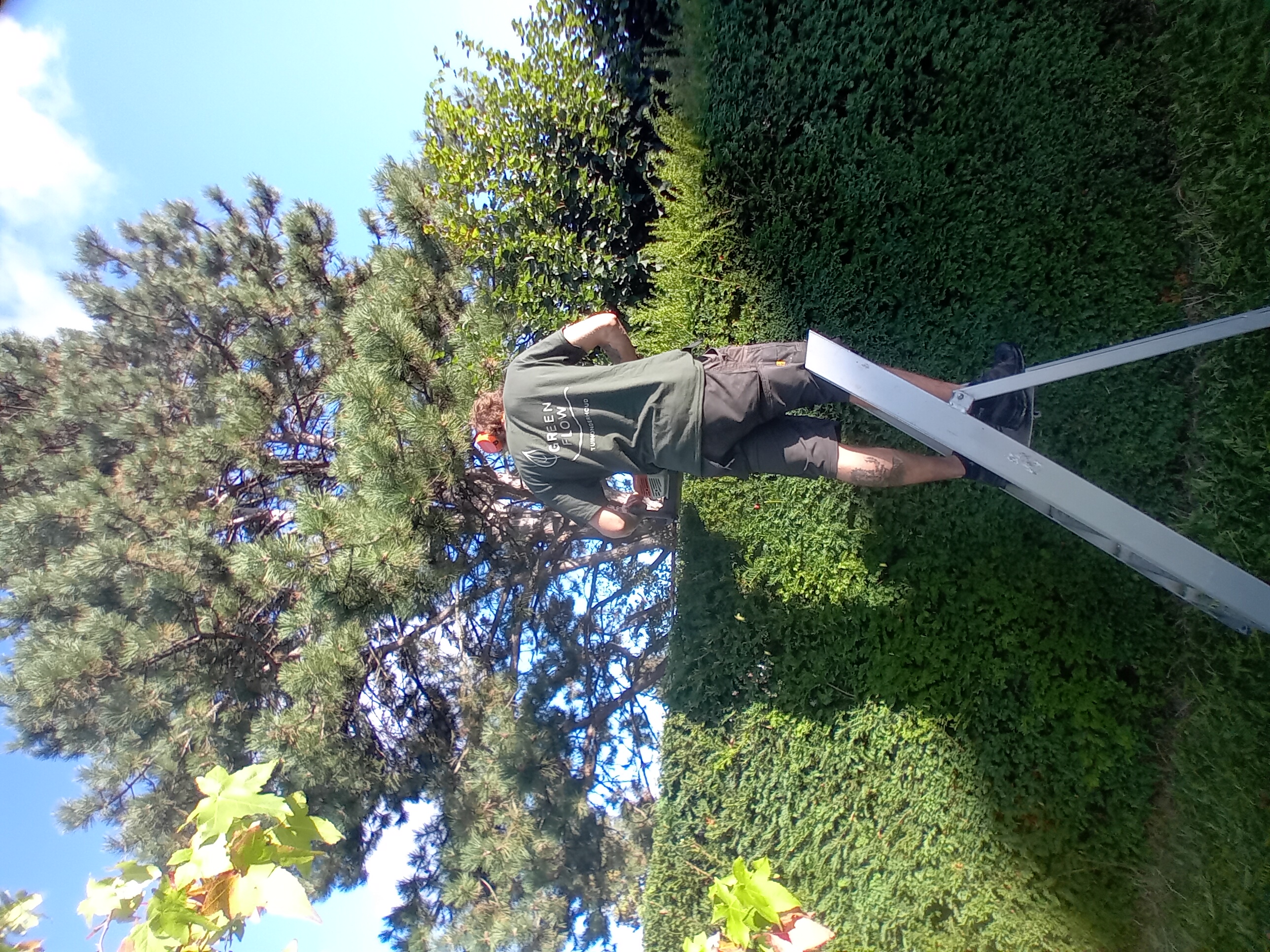 Verzorgde tuin